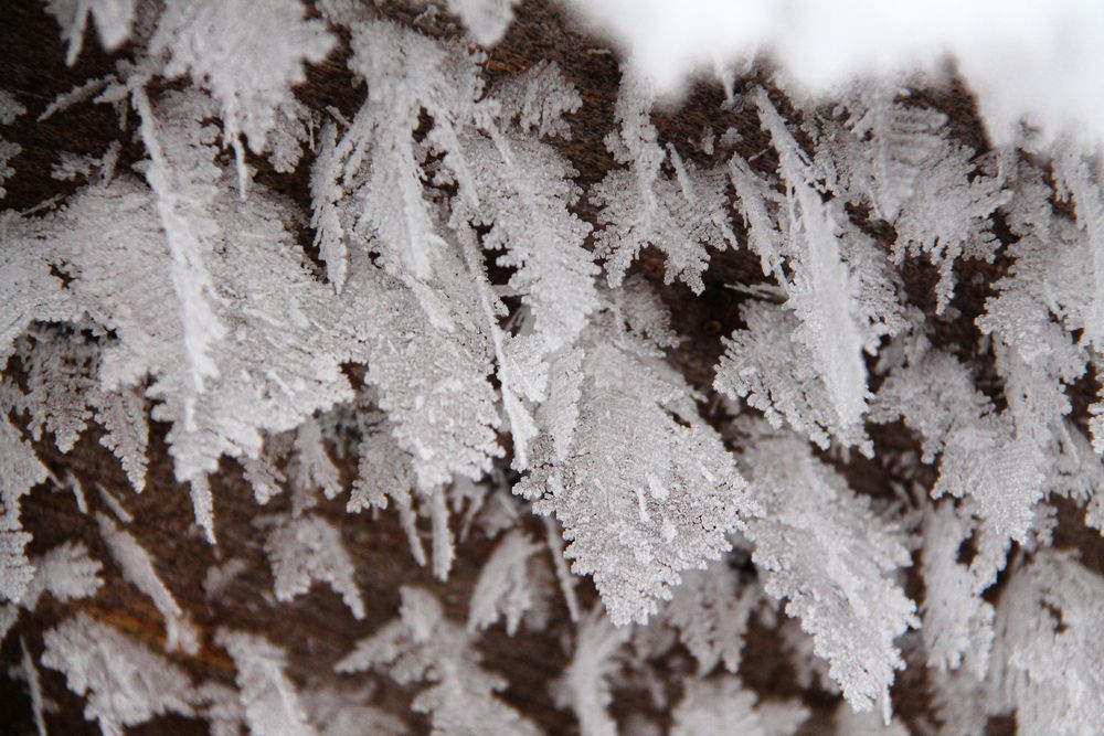 Photograph by Алфия Бугакова