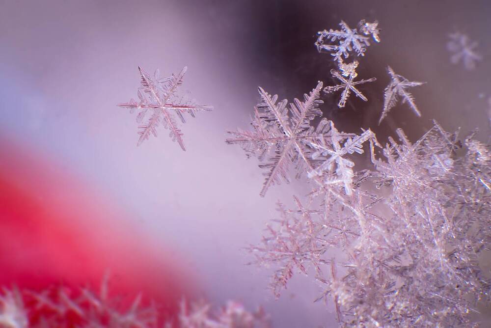 Photograph by Иванюшкин Никита