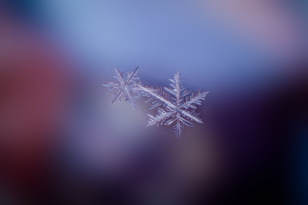 Photograph by Иванюшкин Никита