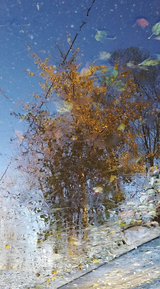 Photograph by Лариса Неудачина