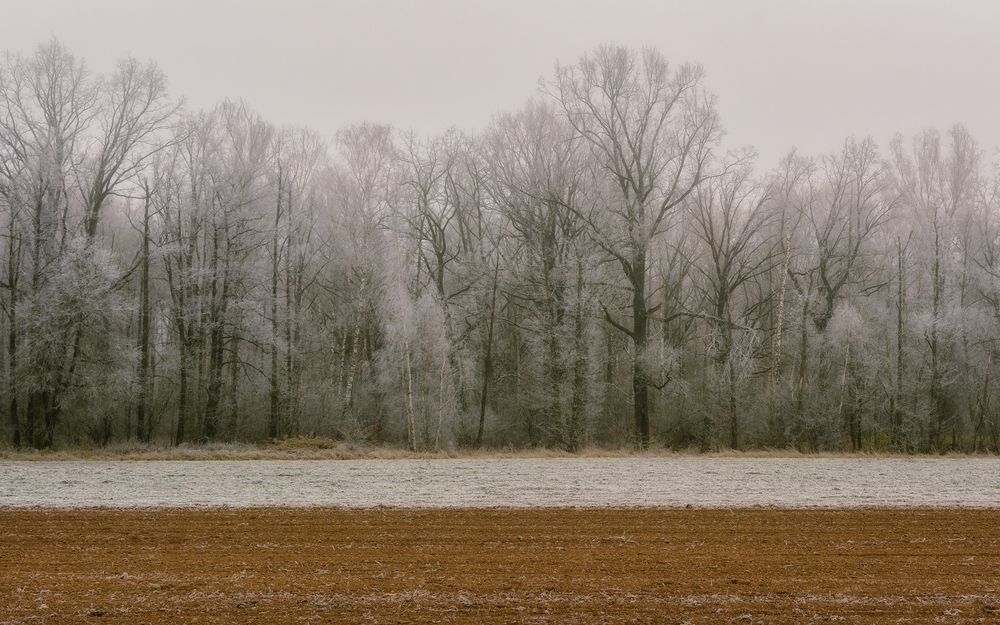 Фотография автора Сергей Дишук
