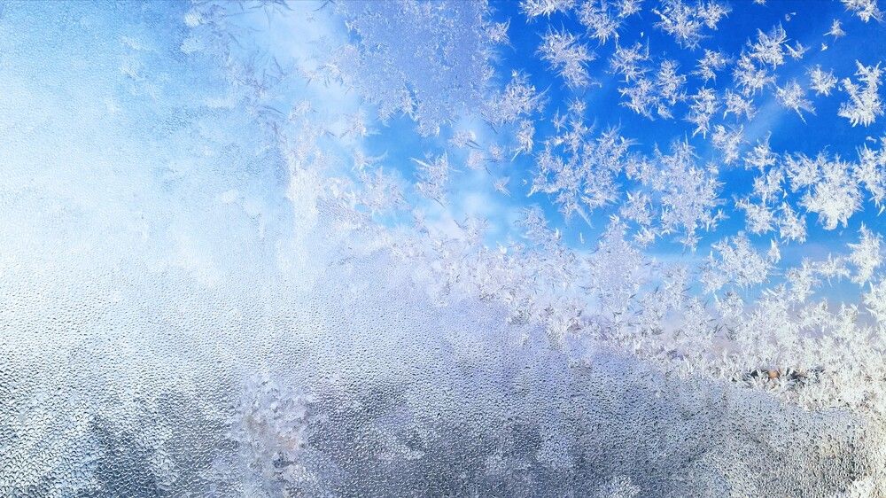 Photograph by Лариса Неудачина