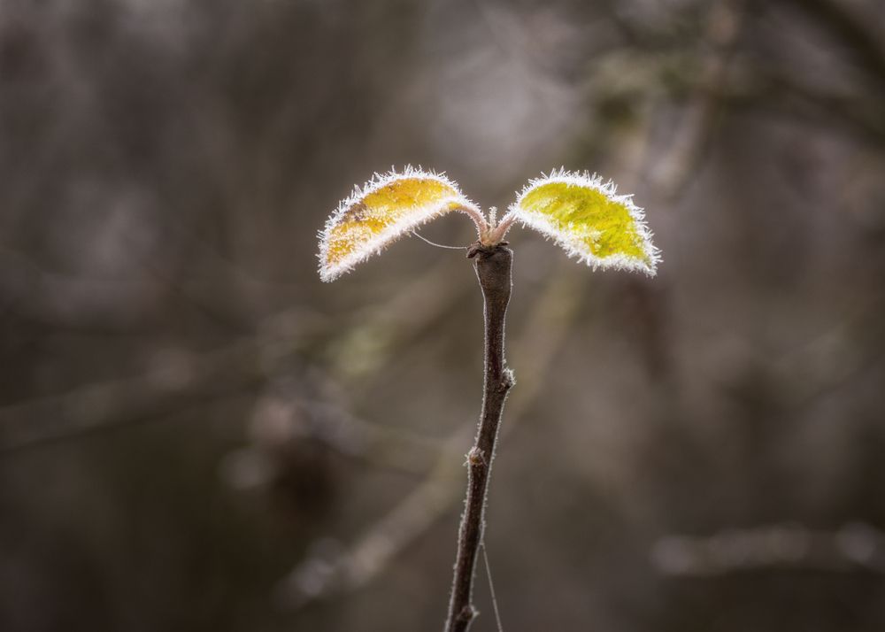 Фотография автора Сергей Дишук