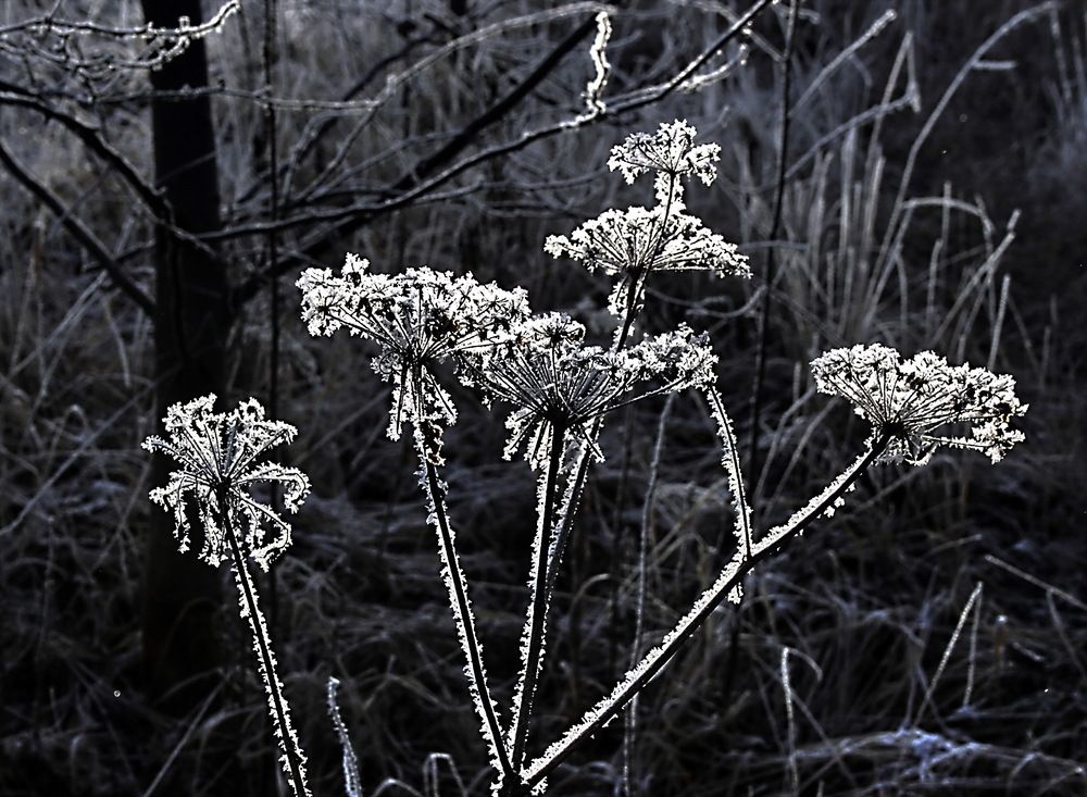 Фотография автора Александр Лазебник
