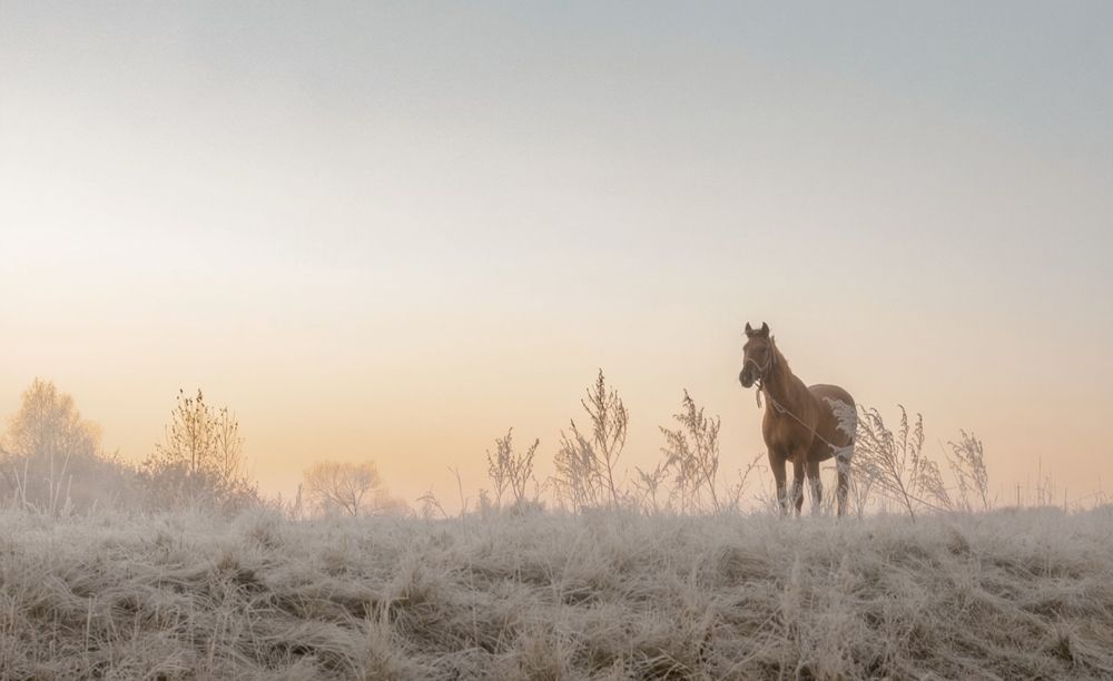 Photograph by Александра Токарева