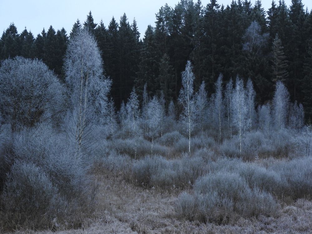 Photograph by YURY RAMITSAN