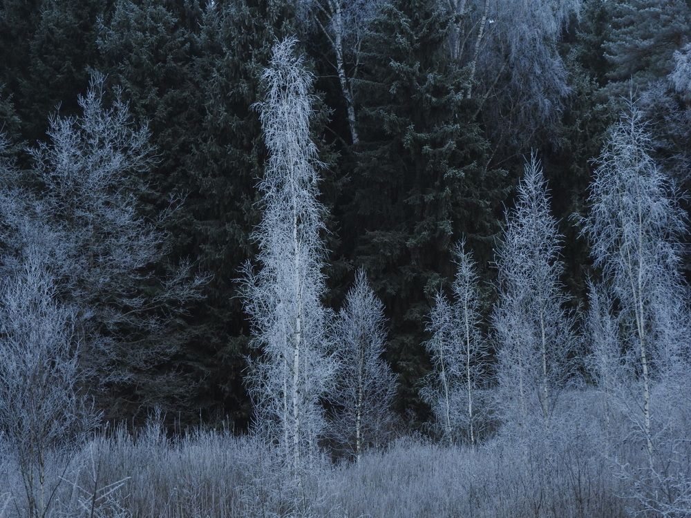 Photograph by YURY RAMITSAN