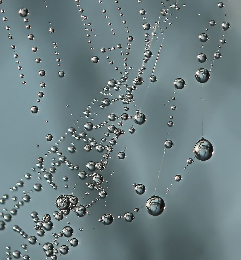 Photograph by Сергей Кульков