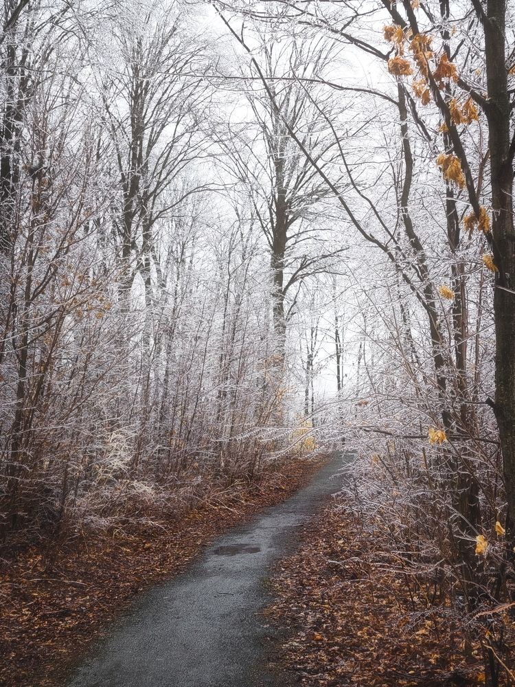 Photograph by Anastasia Nikolenko