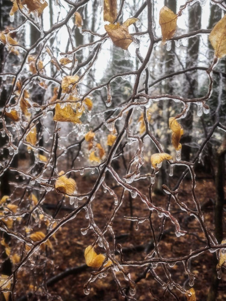 Photograph by Anastasia Nikolenko