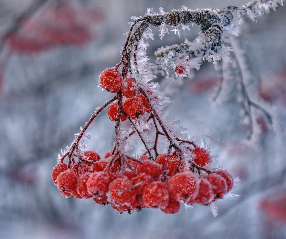 Photograph by Lora Pavlova