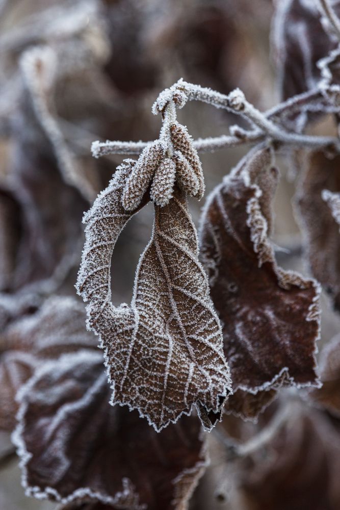 Photograph by Sergey Tsubanov