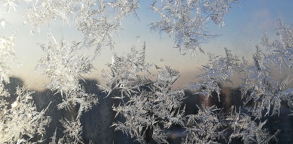 Photograph by Лариса Неудачина