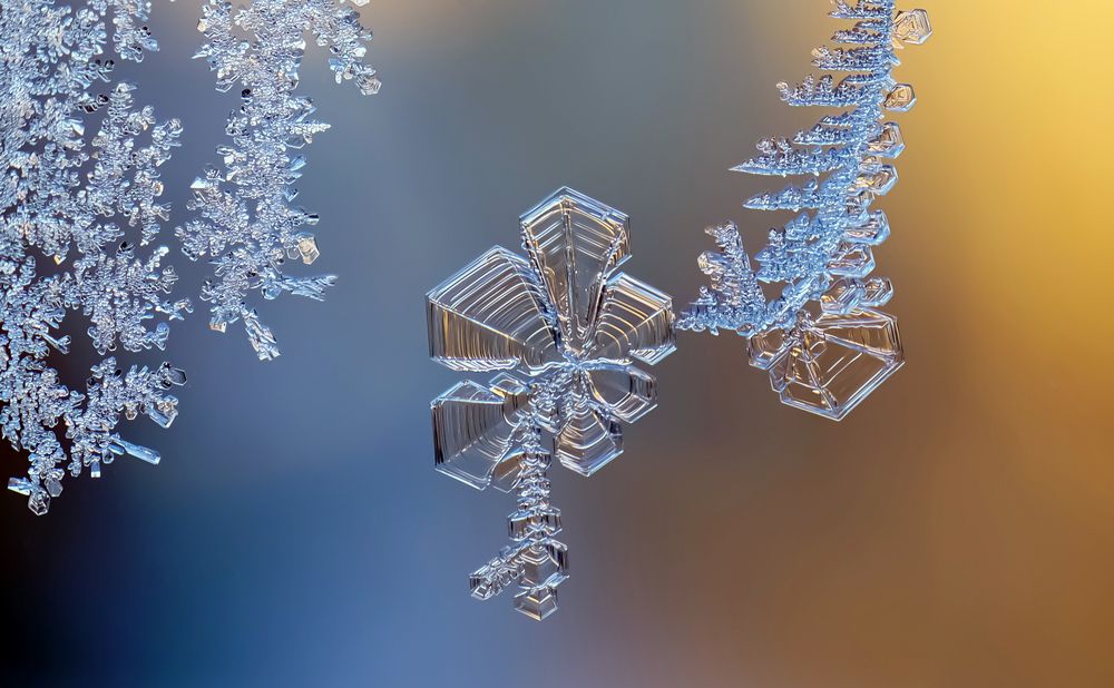 Photograph by Наталья Соколова