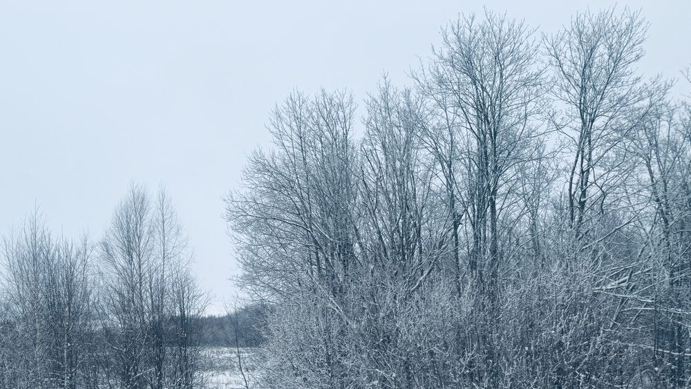 Photograph by Сергей Смирнов