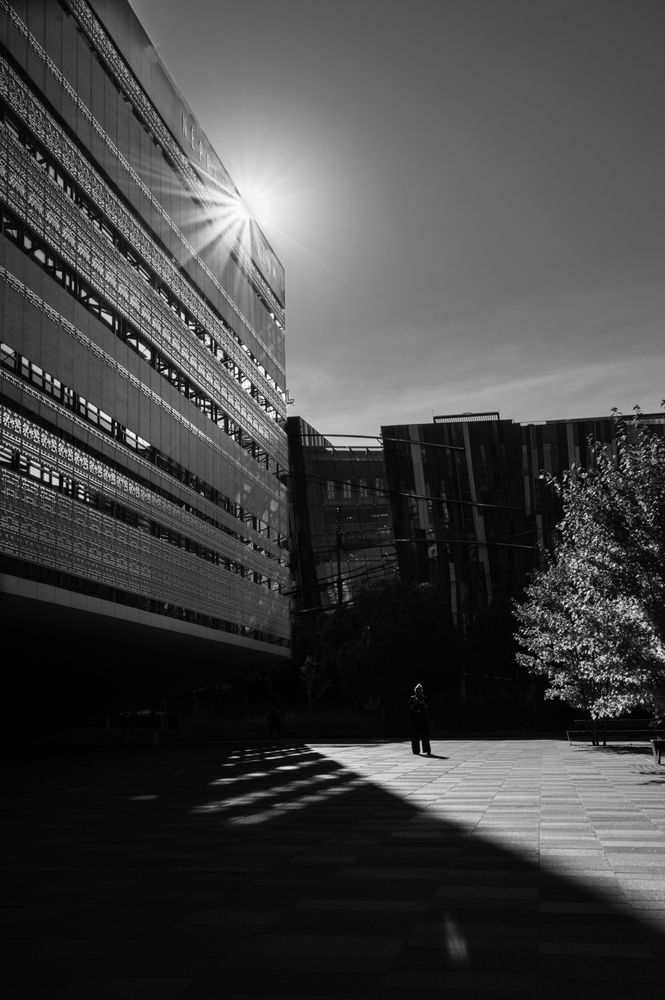 Photograph by Tóth Beáta