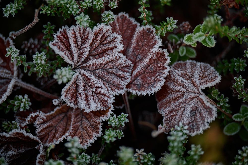 Photograph by Ксения Щербань