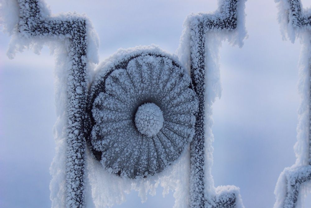 Photograph by Тамара Караваева