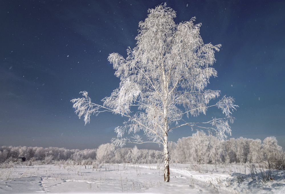 Photograph by Lora Pavlova