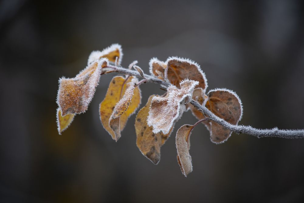 Photograph by Ольга Акутина