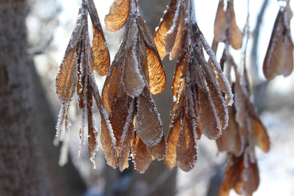 Фотография автора Светлана Шубина