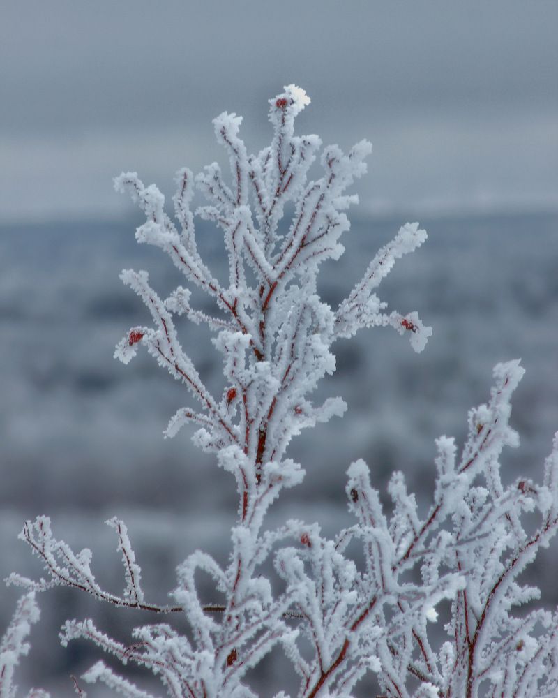 Photograph by Евгения Никишина