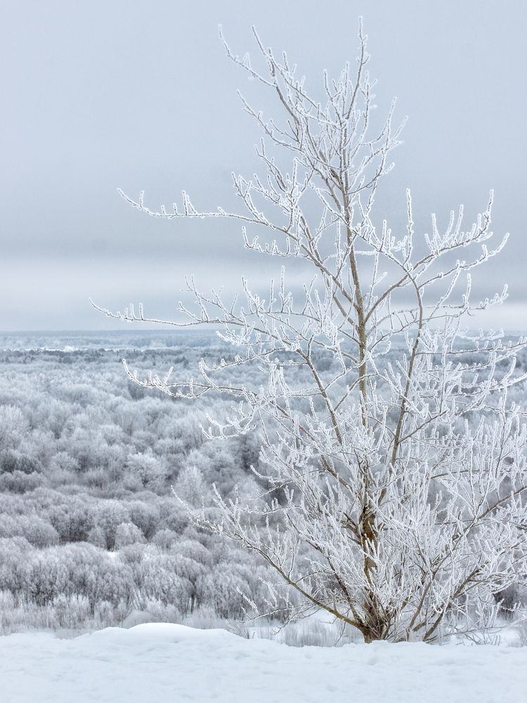 Photograph by Евгения Никишина