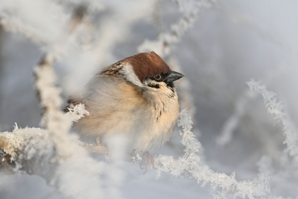 Photograph by IRINA FILIPPOVA