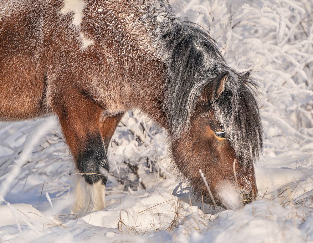 Photograph by Ольга Мусиенко