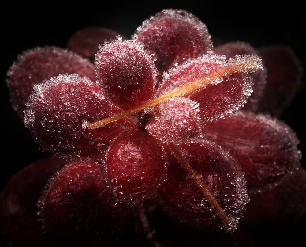 Photograph by Alexander Svetlov