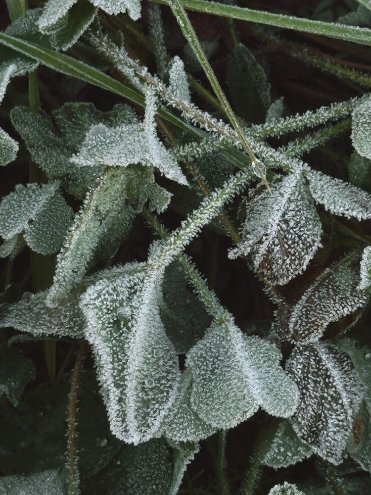 Photograph by Елена Меньшикова