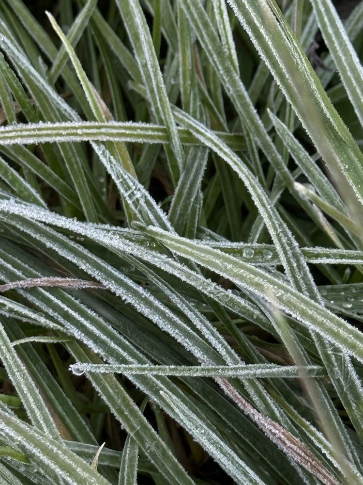 Photograph by Елена Меньшикова