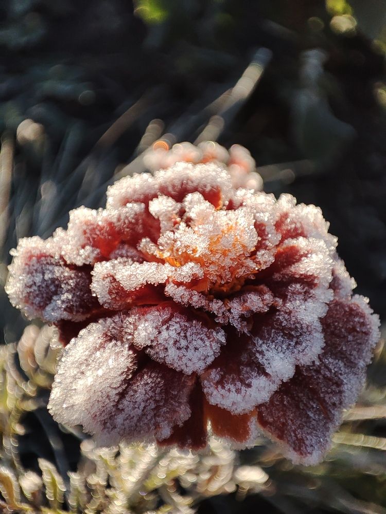 Фотография автора Людмила Кузнецова