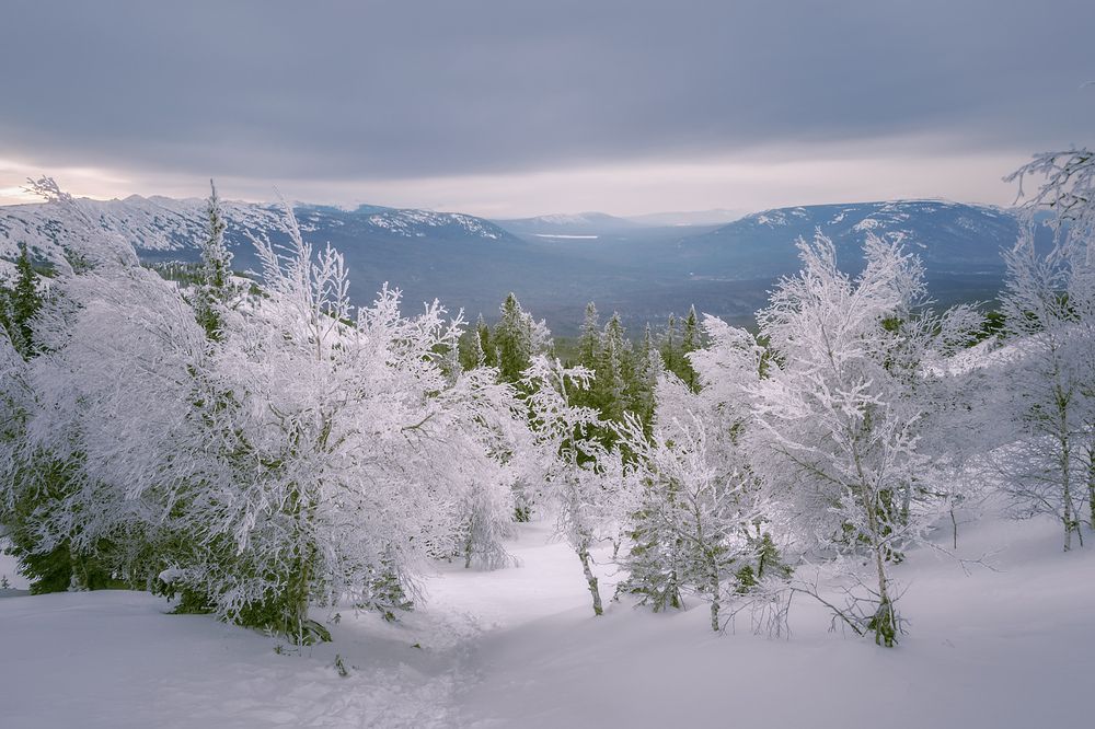 Photograph by Светлана Урманцева