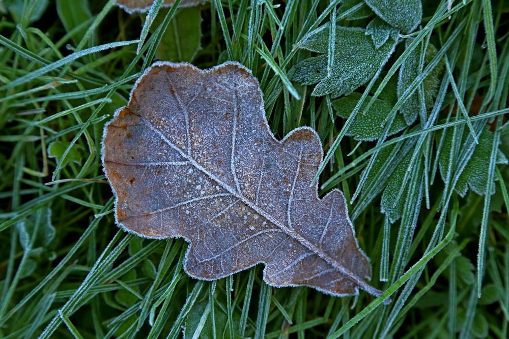 Photograph by Александр Кожевников