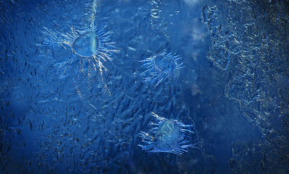 Photograph by Тараненко Анжелика