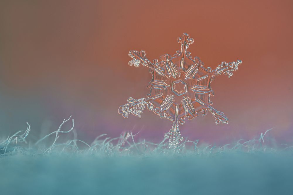 Photograph by Tsvetan Ganev