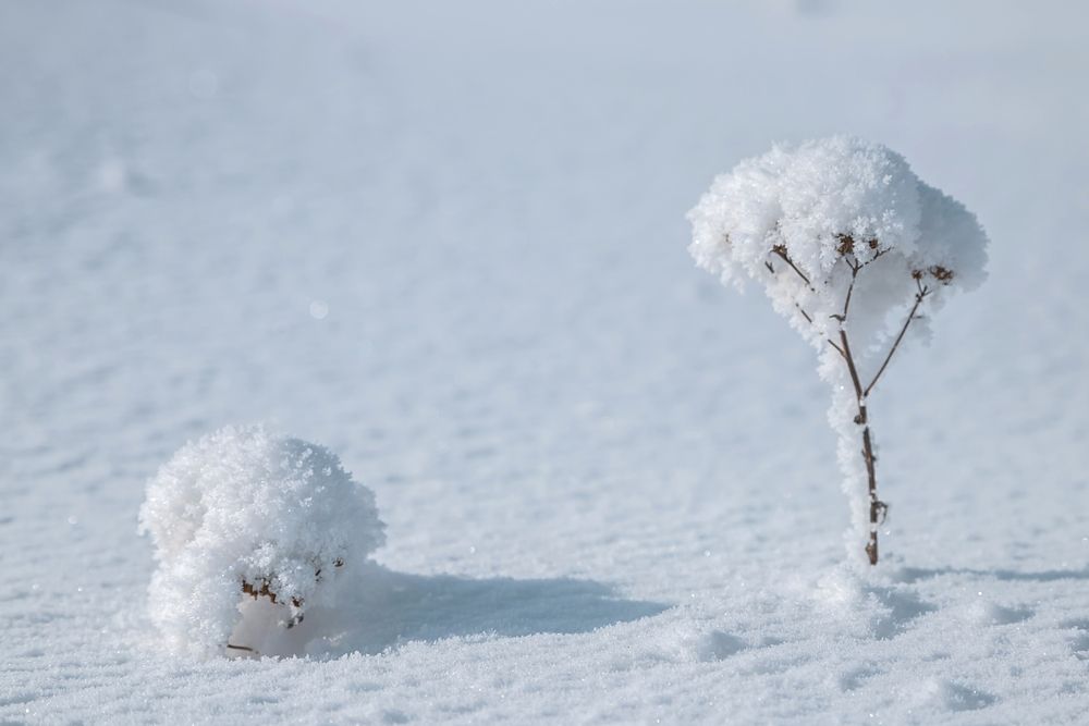 Photograph by Andrey Pristyazhnyuk