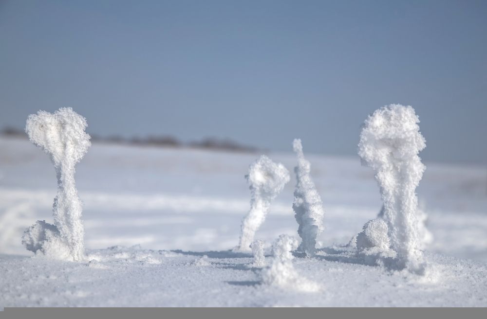 Photograph by Andrey Pristyazhnyuk