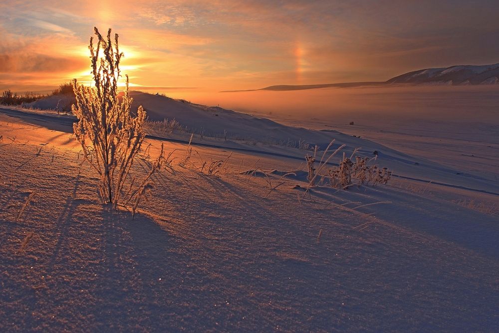 Photograph by Александр Велигура