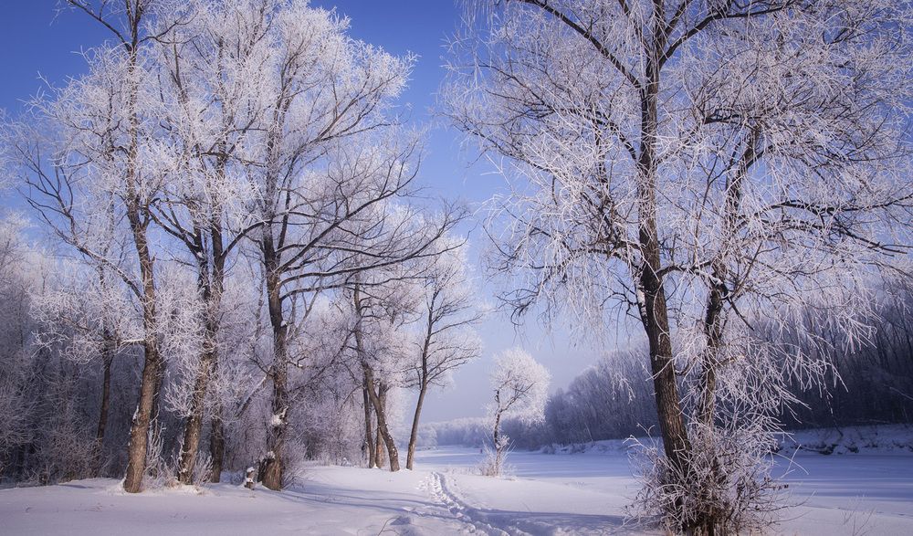 Photograph by Татьяна Добровольская