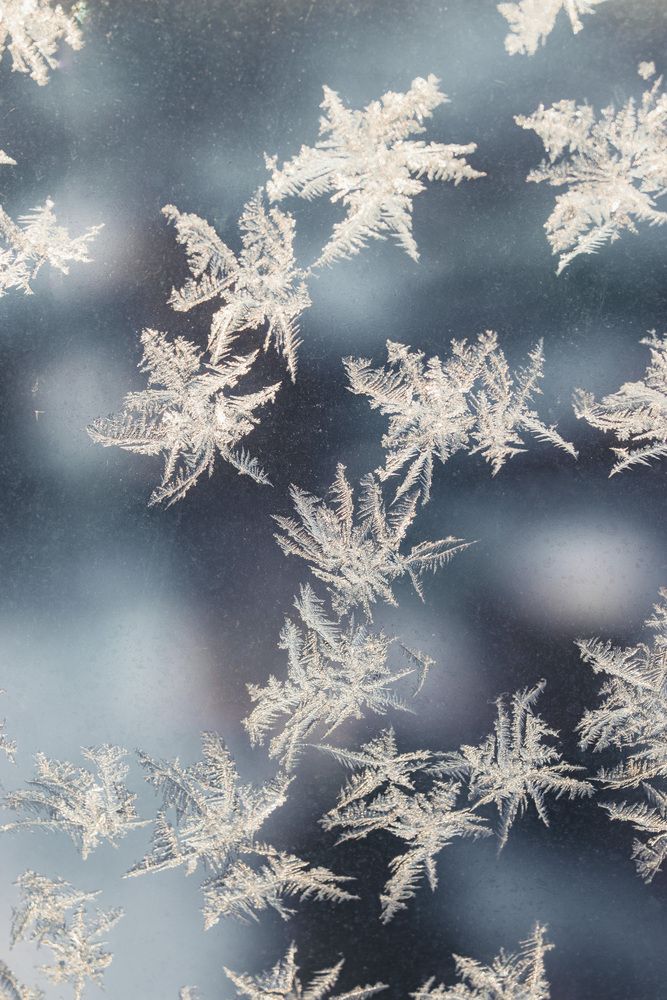 Фотография автора Юлия Соболева