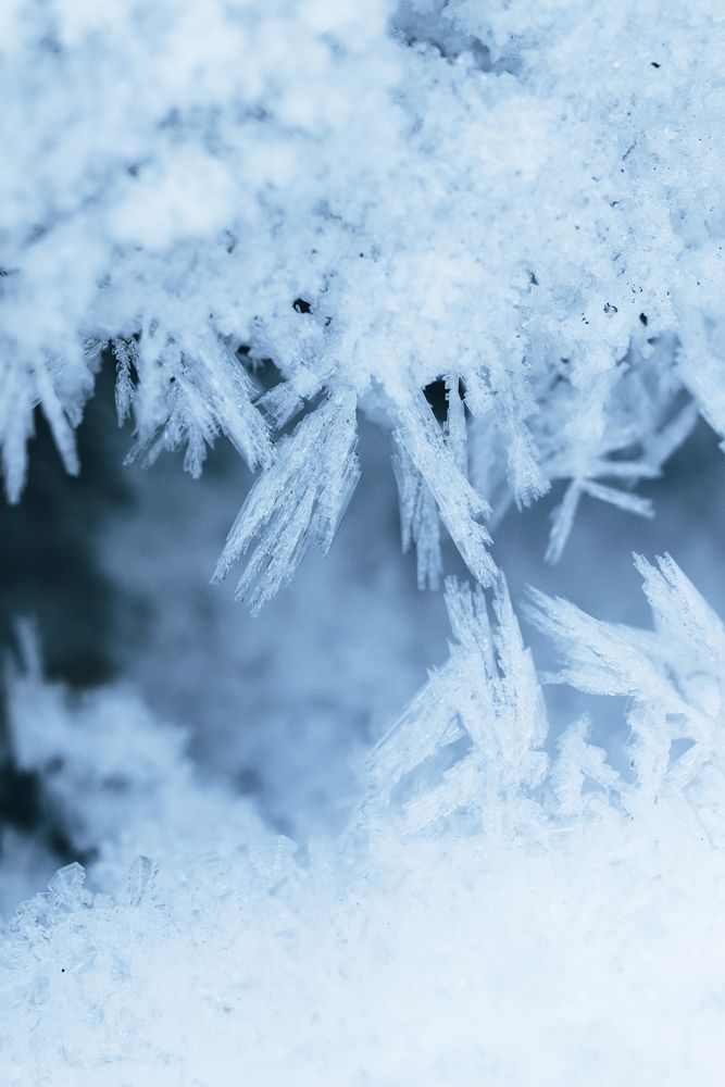 Фотография автора Юлия Соболева