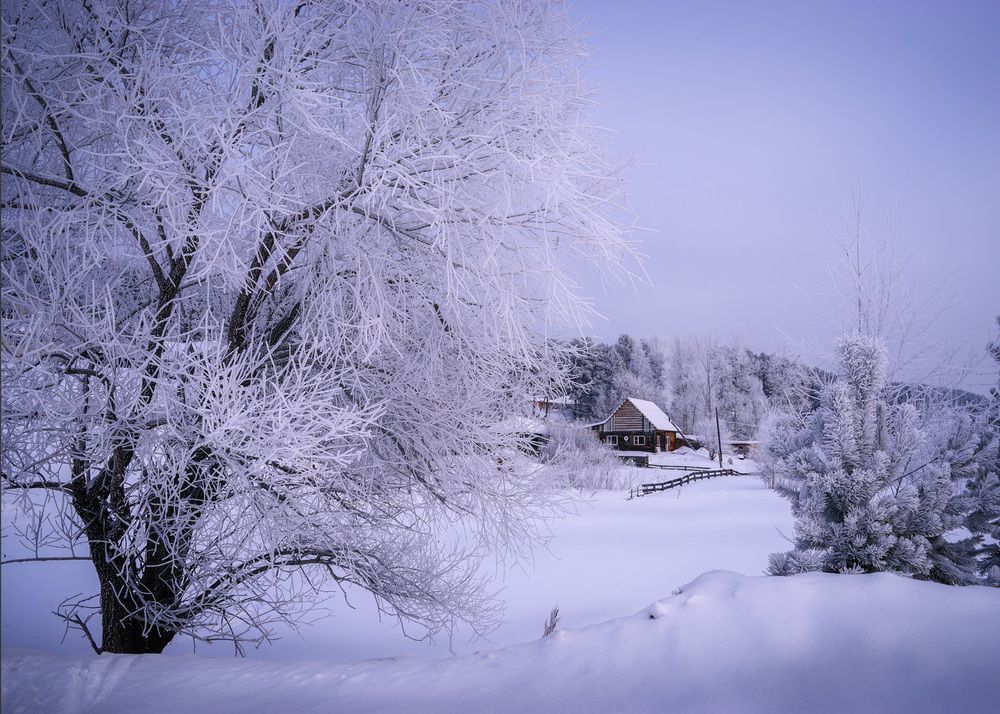 Photograph by Татьяна Добровольская