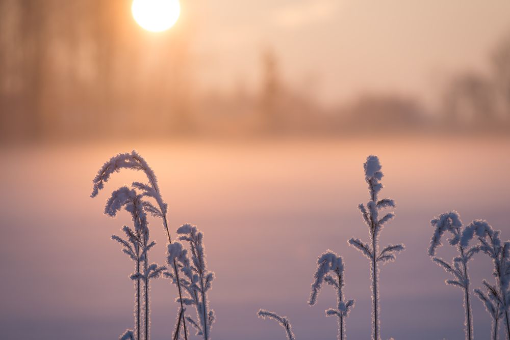 Photograph by Valerijs Bukovskis