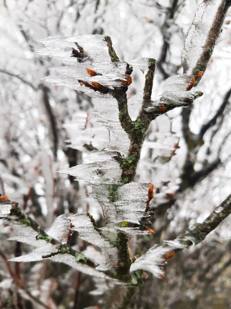 Photograph by Галина Глазкова