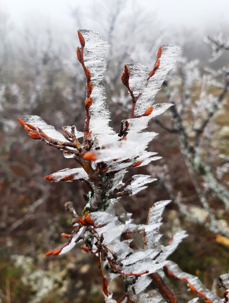 Photograph by Галина Глазкова