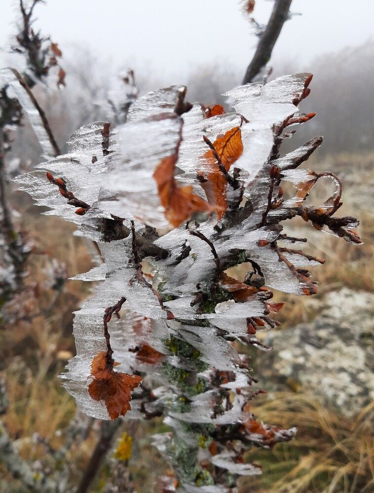 Photograph by Галина Глазкова