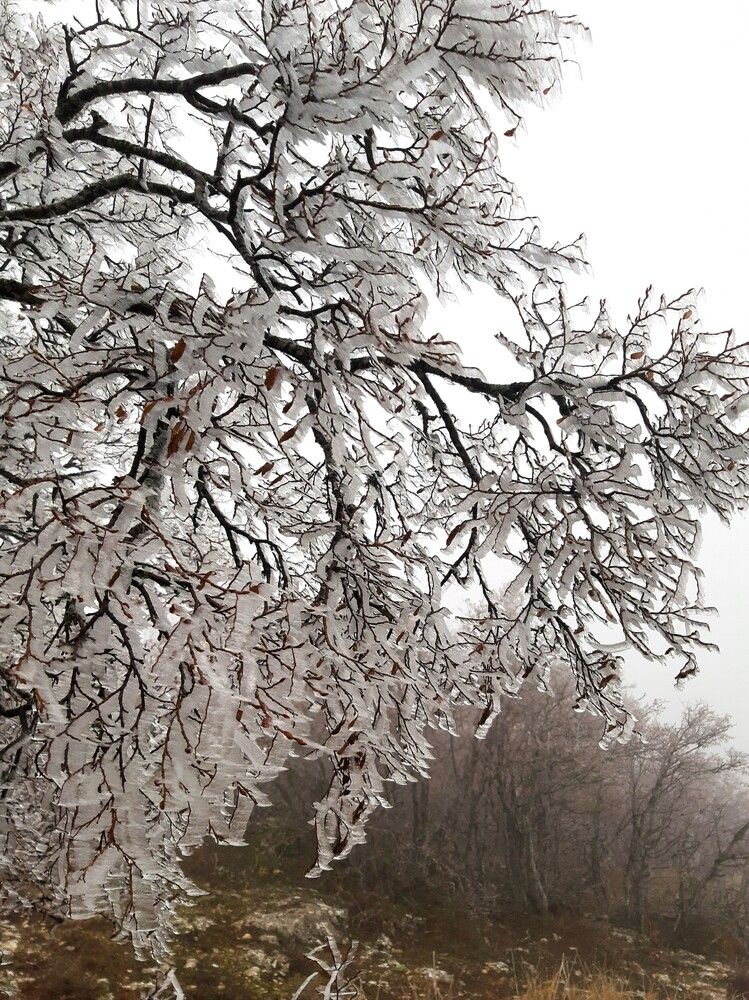 Photograph by Галина Глазкова