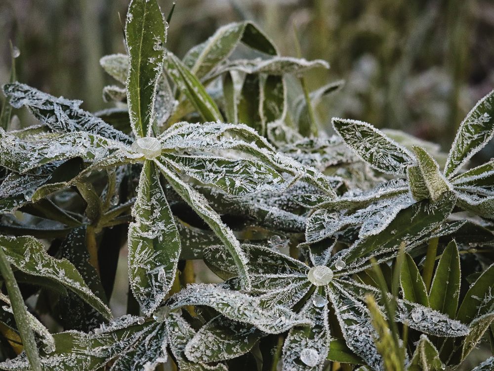 Photograph by Дмитрий Маккеев